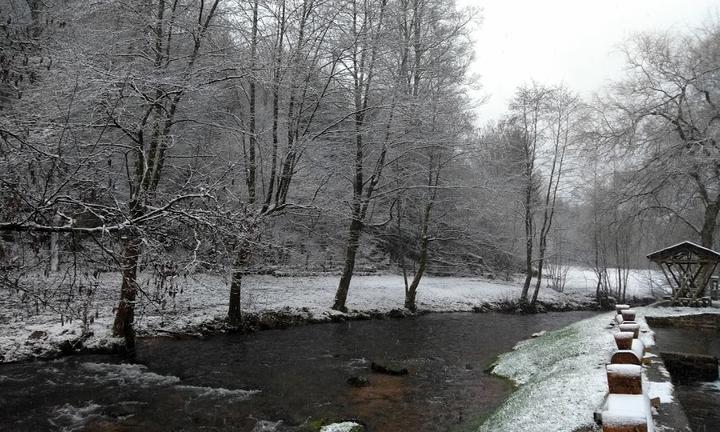 Zordel Fischzuchten